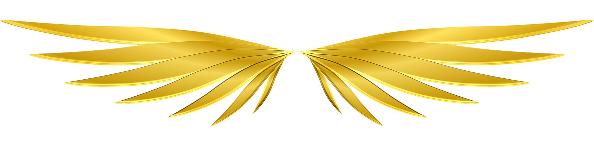 Fernenergetisch, wirksame Unterstützung zu dir Selbst. Dein wahres, heiles, freies, goldenes, ursprüngliches Herz, Sein und Leben. Durch mit Gott, Christus, den Engeln und Lichtwesen im Einklang und Eins sein.